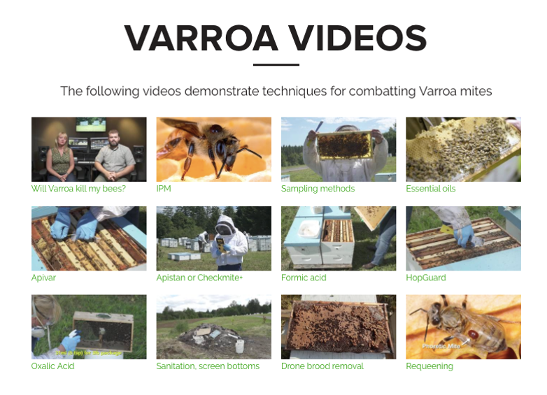 Varroa videos