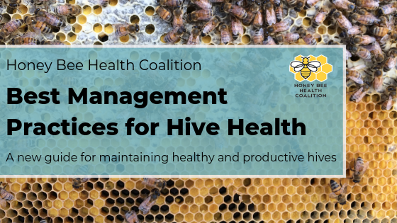 Best Management Practices for hive health