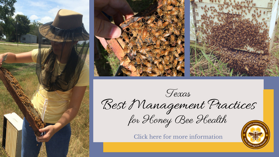 Texas Best Management Practices for Honey Bee Health